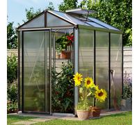 GFP Pro 161 x 235 cm Serre de jardin, revêtement par poudre anthracite, incl. kit d'accessoires Pro 2 - (GFPV00143)