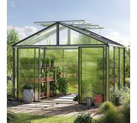 GFP Pro 311 x 235 cm Serre de jardin, aluminium, incl. kit d'accessoires Pro 2 - (GFPV00207)