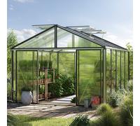 GFP Pro 311 x 385 cm Serre de jardin, aluminium, incl. kit d'accessoires Pro 2 - (GFPV00219)