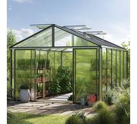GFP Pro 311 x 460 cm Serre de jardin, aluminium, incl. kit d'accessoires Pro 2 - (GFPV00225)