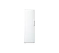 GFT61SWCSE-LG Congelateur 1 porte 324L