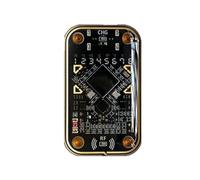 GFTVRCE Chameleon Ultra The Last RFID Emulator ChameleonUltra NFC & RFID Key Fob Solution Opens Access Control Systems 125K