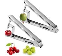 GGesii 2 Pièces Denoyauteur Cerise Et Prune, Manuel Multifonctionnel Ménage, Inoxydable Denoyauteur Olives, pour Cuisine à Domicile, Restaurant-Café, Pique-Nique Camping (Argent)