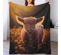 GGJJTT Vaches des Highlands écossais Couverture Quatre Saison Couverture De Lit Flannel Douce Et Chaude Jeté De Canapé Rides Résistantes150×200cm