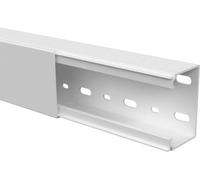 GGK 11030 Goulotte de câble (L x l x H) 2000 x 60 x 40 mm 1 pc(s) blanc pur