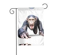 GGNKDL Drapeau de jardin imprimé gorille maniaque pour décoration de cour extérieure adapté à toutes les saisons 30,5 x 45,7 cm