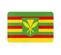 GGNKDL Tapis de sol antidérapant imprimé drapeau hawaïen indigène pour intérieur et extérieur, convient pour les entrées de chambre à coucher et de salle de bain, 40,6 x 61 cm