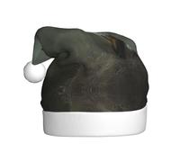 GGsdaf Chapeaux de Père Noël à motifs de renard assis - Parfait pour les fêtes de Noël, le Nouvel An et les décorations de fête d'entreprise