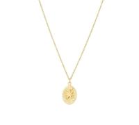 GGYTMQL Collier Collier d'étoiles à six points pour femmes Bijoux Chaîne de diamants Bijoux Collier fabriqué en Chine
