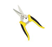 GGYTMQL Outils de Jardinage High Carbon Steel Fruit Arbre d'élagage des cisaillements de Jardin Outils de Jardin Bonsaï Garders Ciste de Jardin