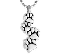 GGYTMQL Pendard en Acier Inoxydable Pet Colle Collier en Acier Inoxydable Four Chien Paw CRÉMATION Asses Box Box Animal ANIMAN