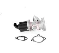 GH AGR-Ventil Compatible Pour Ford KA RU8 1.3 TDCi Fiat 500 312_ 169