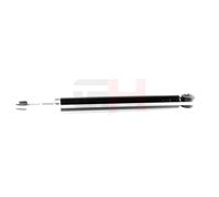 GH Amortisseur Arrière Compatible Pour Nissan Juke F15 1.6 1.2 DIG-T