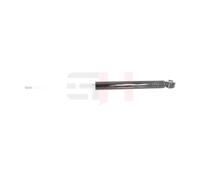 GH Amortisseur Arrière Compatible Pour Suzuki Swift III MZ EZ 1.3 1.5