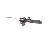 GH Amortisseur Avant Compatible Pour Ford Puma EC_ 1.7 16V 1.4