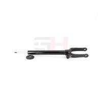 GH Amortisseur Avant Gauche Compatible Pour Mercedes-Benz GLE W166 350