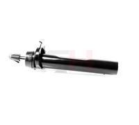 GH GH-351589V Amortisseur pour BMW,MINI