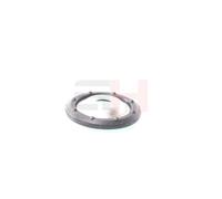 GH GH-361910 Coupelle d'amortisseur
