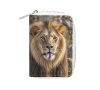 GHBNK Porte-cartes de crédit pour femme, motif lion qui sort de la langue, porte-cartes de visite, porte-monnaie, porte-monnaie en polyuréthane souple, avec fermeture éclair, 16 x 11,5 cm, Style :,