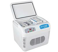 GHBSDNEPP Glacière à insuline portable de 12 L pour médicaments - Peut garder au frais 2 à 8 médicaments contre le diabète - Pour voiture, voyage, maison