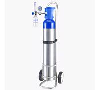 GHFXSCV Chariot léger pour Bouteille d'oxygène, Support Portable pour Une Seule Bouteille de gaz sur Roues pour Usage médical, Voyages, Camping-Cars, cliniques, Chariot de Transport Mobile pour Bout