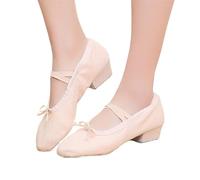 GHHZML Chausson Danse Classique Chaussures de Danse Ballet Professionnelles for Femmes et Filles, Chaussures à Talons Bas, Professeur en Toile for Cours pour la Performance(Pink,36)