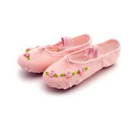 GHHZML Chausson Danse Classique Chaussures Femme Tendance Ballerines de Danse en Ligne Confortables for Danseuse Fille Chaussure Adulte pour la Performance(R Pink,34)
