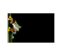GHHZML Fond d'aquarium Autocollant de Fond d'aquarium, Affiche Grenouille Dessin animé, décoration, Papier Peint Auto-adhésif(50x80cm)