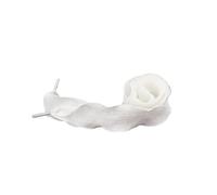 GHHZML lacet satin 1 paire de lacets pétale largeur 2.5cm espadrilles décontractées lacet corde for chaussures plates 80/100/120/140CM accessoires(White,80cm)