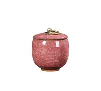 GHHZML Urne pour Chien Mini-Urnes en céramique for Animaux de Compagnie, conteneurs for Cendres Petits, Chats et Chiens, funérailles, cercueils funéraires(Color 05)