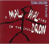 Ghiglioni Tiziana - A Male Walking in The Cauldron [Import]