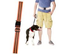 Ghjkldha Brassard Réfléchissant pour Marche | Bande De Sécurité Élastique Réglable - Ceinture Fluorescente Élastique Lumineuse - pour Hommes Femmes Coureurs De Nuit Cyclistes Joggeurs