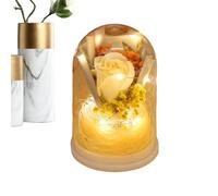 Ghjkldha Eternal Rose Display, Preserved Flower Bouquet in Glass Dome with LED Light, Infinity Decorative Arrangement for Romantic Decoration, Long-Lasting Floral Gift for Mom Women Her