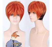 GHK Zootopia Nick Wilde Orange Brun Ombre Synthétique Cheveux Perruque Pour Hommes Anime Cosplay Perruques Pour La Fête 30 cm