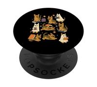 Ghost American Shorthair Cat lisant des Livres pour Les Amateurs de Livres Bookish PopSockets PopGrip Adhésif