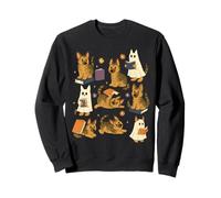 Ghost American Shorthair Cat lisant des Livres pour Les Amateurs de Livres Bookish Sweatshirt