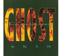 Ghost of an American Airman - Skin