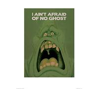 Ghostbusters (Slimer 60 x 80 cm Toile Imprimée