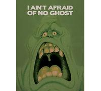 Ghostbusters WDC90450 Toile Imprimée, Multicolore, 60 x 80 cm