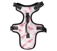 Ghothic T-rex Chaleco para perro Gilet réfléchissant pour chien Motif terrier de Boston