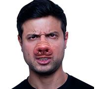 Ghoulish Productions - Application nez de cochon, ligne d'application, décoratif, peint à la main, latex fait à la main, Halloween, défilé de carnaval, fête costumée.