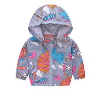 Giacca a Vento Leggera per Bambini con Zip, Cappuccio e Stampa Dinosauro Arcobaleno, Giubbotto Antivento per Bambini e Bambine, Impermeabile per Attività all'Aperto, Taglie da 18 Mesi a 4 Anni (Light