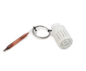 Giacomini R457 - Tête termostatico avec sonde r462l 2 m