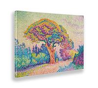 Giallobus - Cadre - Paul Signac - Un pin à Saint Tropez - Toile - 70x50 - Prêt à accrocher - Peintures Modernes pour la Maison