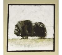 Maroccolo Gianni - Alone Volume 1