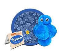 Giant Microbes Staph (Staphylococcus aureus) Plush Toy by Giant Microbes