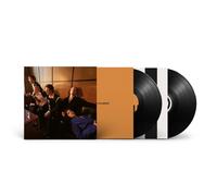 Giant Rooks - How Have You Been? Analog]