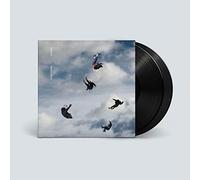 Giant Rooks - Rookery (2lp)