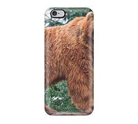 Giant Sand - Cover Magazine