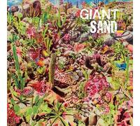 Giant Sand - Returns to Valley of Rain